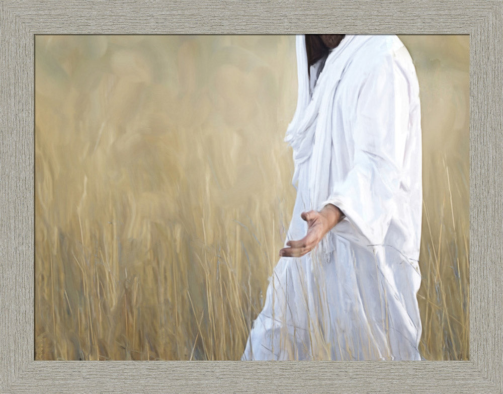 The Gatherer - framed giclee canvas