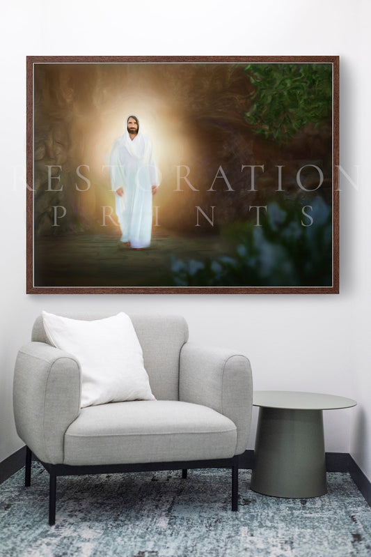 The Life (Frame TV)