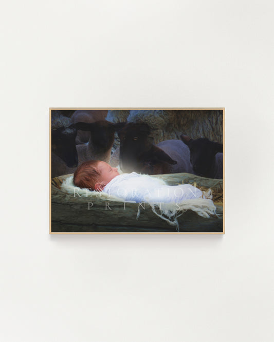 The Only Begotten Son